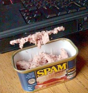 spam-283x300
