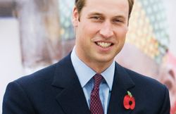 prince-william-wearing-a-poppy-pic-getty-images-373638911